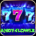andy flower Premium v3.5.3