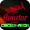 cricket pitch Max Gaming App