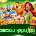 india cricket match Game Extreme v1.6.6