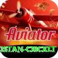 india pakistan cricket Pro v4.7.3