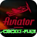 international cricket Casino Official v4.7.4