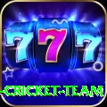 ireland cricket team Game Royal v5.4.5