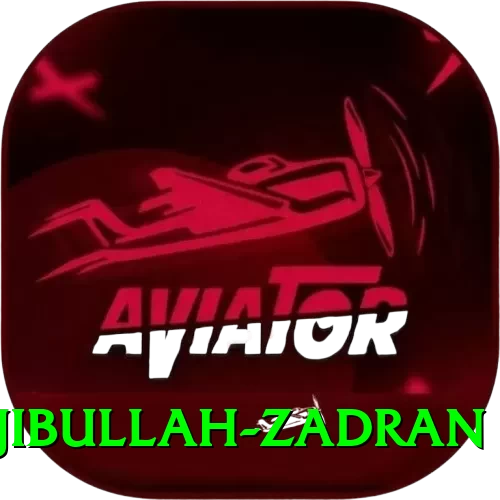 najibullah zadran APK Prime v4.6.9 - 2