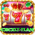 netherlands cricket team App Max v2.0.5