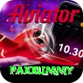 pakrummy - Champion Earning App