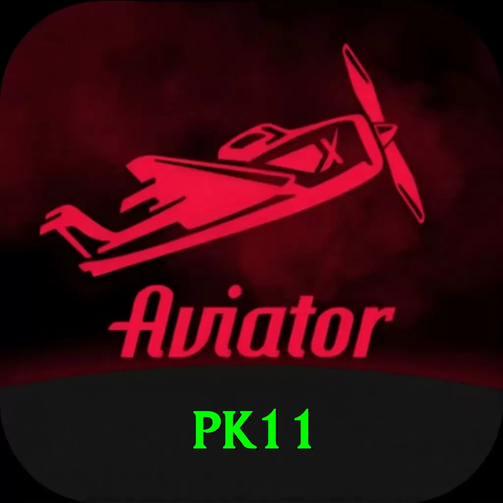 pk11 Plus Pro v1.5.4 - 2