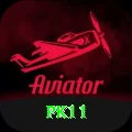 pk11 Plus Pro v1.5.4