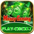 play cricket Prime Slots