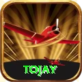 tojay VIP Pro v2.8.5