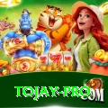 tojay Earn Super v4.5.2