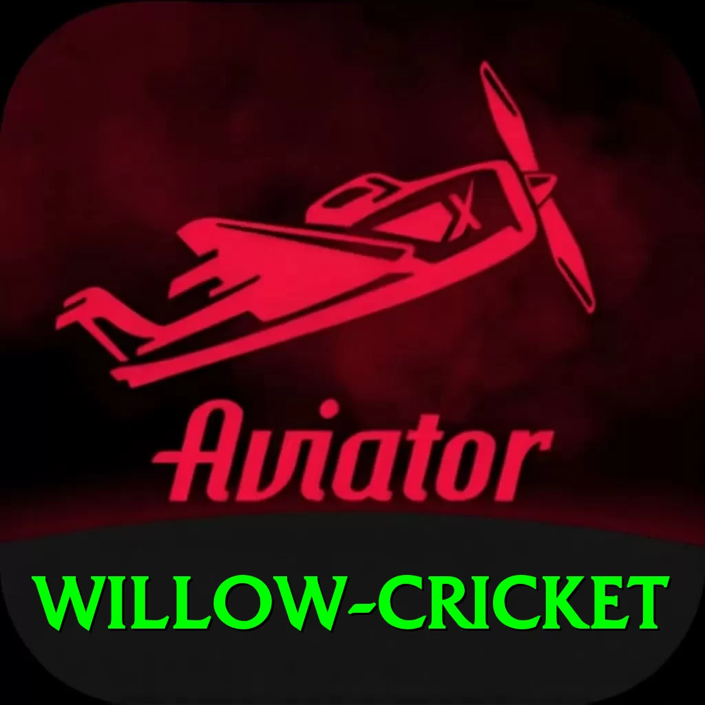 willow cricket - Casino Champion - 2