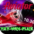 Yay Win Apps (Tools & Injectors) Plus v1.0.0